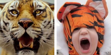 Don’t Call Me Oscar: Baby Reenacts This Year’s Top Films