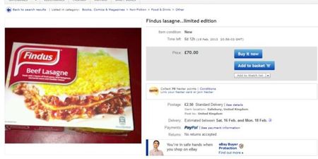 Horsing Around: Prankster Auctions Off Findus Beef Lasagne on EBay