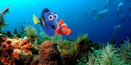 “Just Keep Swimming” – Ten Life Lessons We Learned From Finding Nemo