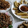 Pest de Resistance – Creepy-Crawly Festival To Promote Eating Insects