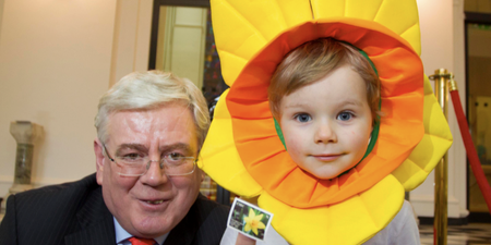 Today is Daffodil Day – Will you Support The Irish Cancer Society?