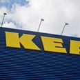 What’s Next? Ikea Remove Cake with Traces of Bacteria Which Is Often Present in Faecal Matter