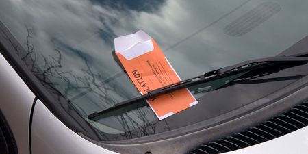 This Takes The Ticket: Irish Traffic Warden Receives €20,000 In Damages After Man Bites Him