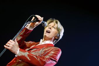 Stop Everything, Bowie Might Be Going On Tour!