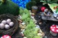 Green Fingers: The Most Creative Mini Gardens You’ll Ever See