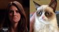 VIDEO: Mad Men Star Alison Brie Imitates Beyoncé And Other Famous Internet Memes