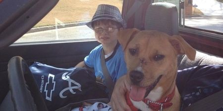 You’ve Got A Friend: The Amazing Story Of One Little Boy & His Dog
