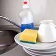 These Are The Most Bacteria Riddled Items In Your Kitchen…