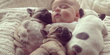 The Internet Just Melted: Everybody’s Talking About This Adorable Snap