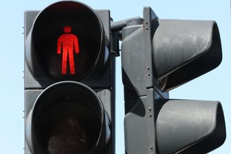 From Crossing At A Red Light to Walking On The Grass: The Rules We Can’t Stop Breaking