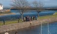 How To Save A Life: The People Of Galway Rescued A Dog Yesterday