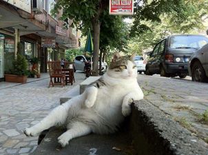 To The Bus – Eight Signs That It Is A Friday Evening