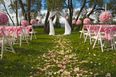 30 Rock Star and Musician Tie The Knot