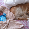 Best Buddies: Model Shares Adorable Snap Of Newborn And Her Beloved Dog