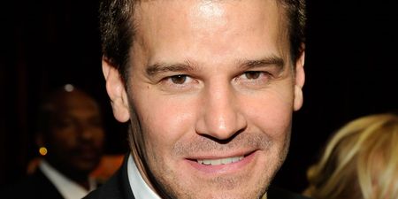 Her Man Of The Day… David Boreanaz