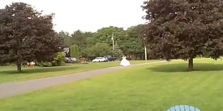 Who Let The Dog Out? Bride’s Nightmare As Enthusiastic Pup Chases Her Around The Garden