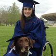 “After We Graduated…”: Heartwarming Photo Of Woman And Her Service Dog Graduating Goes Viral