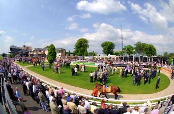Festival Fever – One of the Hottest Events in the Horse Racing Calendar Takes Place This Weekend