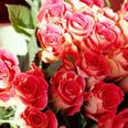 Man Gets Dumped… Then Gets Caught Stealing Roses To Win Her Back