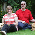 “It Was Meant To Be!” – Blind Couple Engaged To Marry After Their Guide Dogs Fall In Love