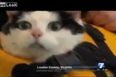 “Is That Camera On?!” News Blooper Of The Week