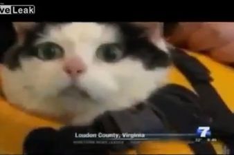 “Is That Camera On?!” News Blooper Of The Week