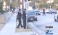 VIDEO: Warning, Sensitive Viewing: Uproar As Video Shows Police Office Shooting Dog