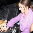 “I Have Had Her Since She Was 2 Months And I Was 16” Cheryl Cole “Heartbroken” Over Dog’s Cancer
