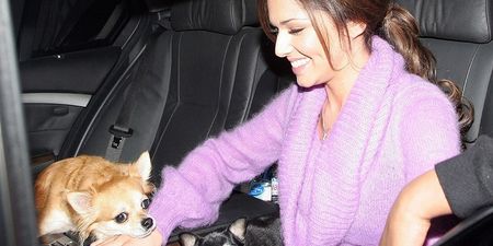 “I Have Had Her Since She Was 2 Months And I Was 16” Cheryl Cole “Heartbroken” Over Dog’s Cancer