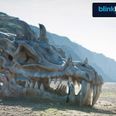 Mother of Dragons! Giant Game of Thrones Dragon Skull Appears on British Beach