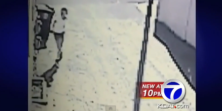 Video: Woman Caught Repeatedly on Camera Pooping in Man’s Yard While on her Morning Run