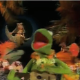 VIDEO – Robin Thicke’s Blurred Lines Gets A Muppets Makeover