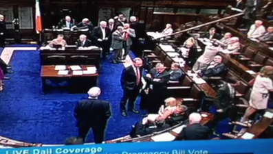 Dáil Footage Shows Male TD Pull Female Colleague Onto Lap During Abortion Debate