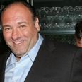 “He’s My Son’s Guardian Angel” James Gandolfini’s College Friend Shocked By The Late Actor’s Will Generosity