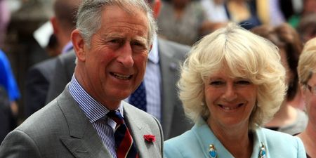 PICTURE – Charles And Camilla Release A Statement On The Birth Of Charles’ First Grandchild