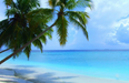 They Claim It’s The Best Job Around The World… And It Probably Is
