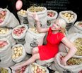Mad About Spuds: Will you be Heading Along to the Potato Tasting in Temple Bar?