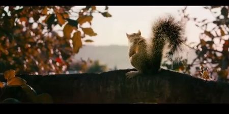 Squirrels: The Most Bizarre “Horror” Movie Trailer We’ve Seen Yet