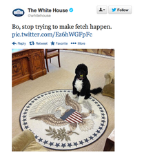 PICTURE: Is Regina George Running The Whitehouse Twitter Account?