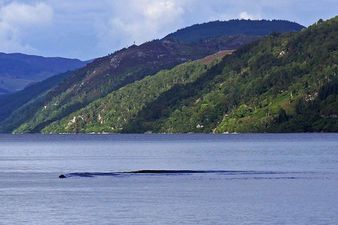PICTURE: Is That The Loch Ness Monster? Photographer Convinced He Has Captured The Creature