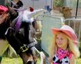 This Exists: How to Turn Your Horse into a Unicorn in One Easy Step