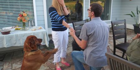 PIC: Man Proposes To Girlfriend, His Dog Is Delighted