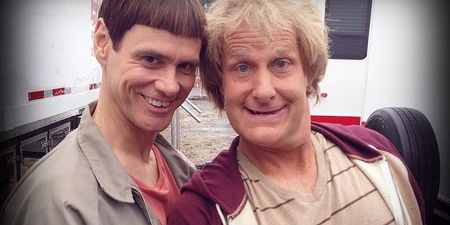 A Certain Oscar-Winning Actress Has Filmed A Cameo For Dumb And Dumber To