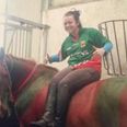 PICTURE: Girls Paint Horse For All Ireland Final