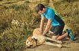 Company Apologizes Over Ad Featuring Dead Dog