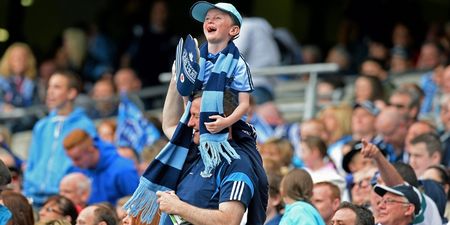 The 12 Different Types Of GAA Supporter
