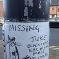 PICTURE: The Most Artistic Missing Cat Poster You’ll Ever See