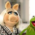 The Muppets Sing a 1D Tribute – And It’s Pretty Good!