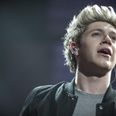 PIC: Niall Horan and Mc Busted Have An Unusual Way Of Killing Time…