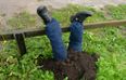Police Called To Help Man Trapped Upside Down In A Field… Only To Discover It’s A Scarecrow